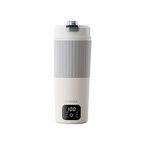 SmartBoil™ 650ml Portable Electric Kettle with LED Display
